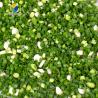 Buy cheap Scallion Garlic Sprouts Vegetable Processing Machine Rapeseed Stainless Steel from wholesalers