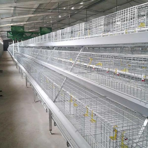 Buy cheap Corrosion Resistant Poultry Layer Cage , Durable Ground Bird Feeder Cage from wholesalers