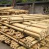 Buy cheap Dried Treated Gardening Bamboo Sticks Poles Canes Stakes 16cm For Construction from wholesalers