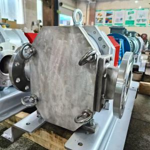 Wholesale Cast Iron Durable Rubber Lobe Pump 5.5-340m3/H For Transfer Fluid from china suppliers