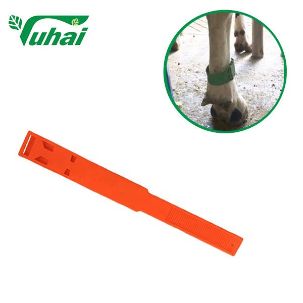 Buy cheap PP Livestock Bands 36cmx4.2cm Colorful Leg Bands For Cow Or Cattle from wholesalers