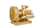 5.5KW 7.5hp Explosion Proof Vacuum Pump For Biogas Plant Wiht Inner Tefelon