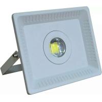 Buy cheap 50W aluminium housing no driver led garden flood lights product