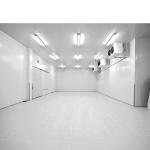 Air Cooling Commercial Cold Chiller Freezer Room With Durable Condensing Unit