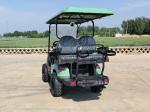 Fruit Green Electric Golf Cart High-End Stitched Seats With Wireless Phone