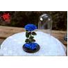 Buy cheap Beautiful Rose Flowers Everlasting Rose Preserved Flower Eternal Rose in Glass from wholesalers