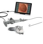 250mm Veterinary Medical Equipment Veterinary Gastroscope For Cat Dog Horse