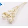 Buy cheap Artificial flowers and flower arrangements dry flowers gift from wholesalers