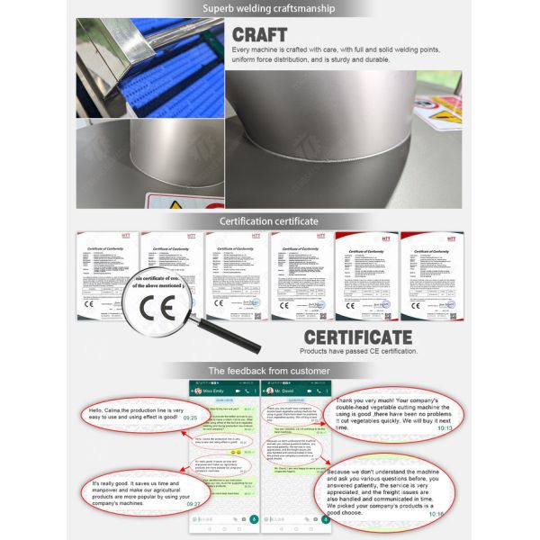 100KG/H Electric Food Chopper Machine Meat Cutting Machinery