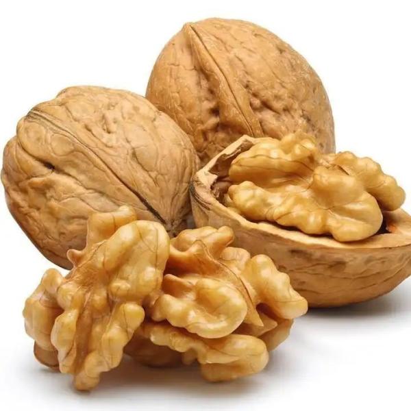 Buy cheap OEM Chinese Wholesale New Crop Paper Walnut in shell High Protein Nut Non-GMO 185 Kernel from wholesalers