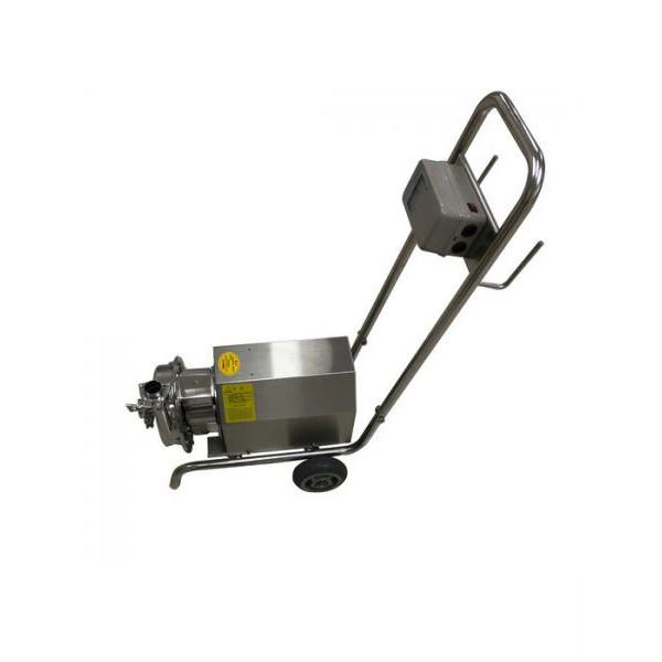 Buy cheap Energy Saving Sanitary Water Pump / Food Grade Self Priming Pump 0.75KW from wholesalers