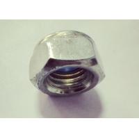 Buy cheap 17mm Thickness Nylon Hex Nuts M18 X 1.5 With Repeatedly Dismantled 5 To 50 Times product