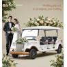 Buy cheap White Wedding Classic Car 4kw Motor 100km Endurance CE Certification from wholesalers