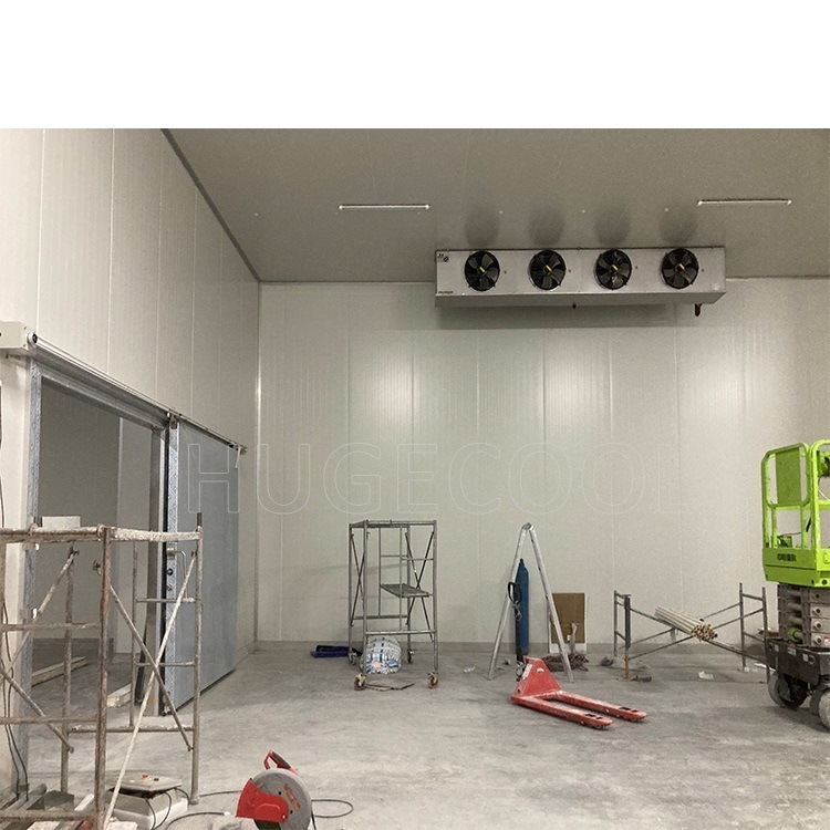 Logistic Warehouse Cold Room with Roll up Door