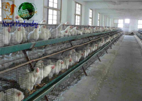 Buy cheap Cooling Pad Machin For Poultry House,Buy Quality from wholesalers