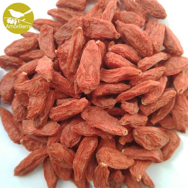 Buy cheap Amorberry China NingXia dried Goji berry for tea or medicine use from wholesalers