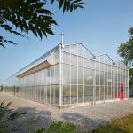 Venlo Commercial Multi Span Steel Structure Polycarbonate Sheet Greenhouse