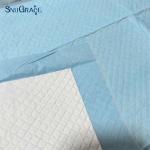 Sustainable Disposable Pet Puppy Training Pee Pad For Dogs And Cats