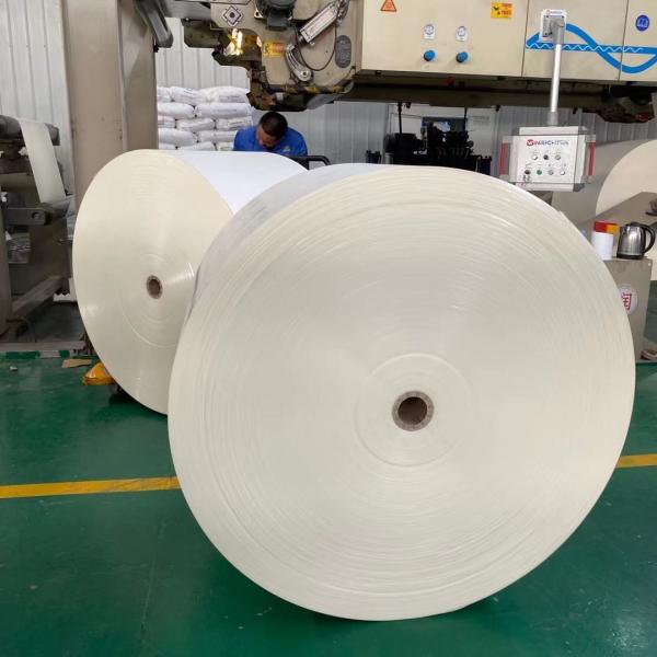 Buy cheap Food Grade Recyclable 250gsm PE Coated Cup Raw Material Kraft Paper Rolls For Making Cups Bowls from wholesalers