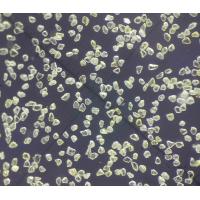 Buy cheap Reshaped MBD Mesh Diamond Powder , High Toughness Synthetic Diamond Powder product