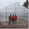 Buy cheap Tropical Top Cross Vent Agricultural Sawtooth Greenhouse Plastic Film Covered from wholesalers