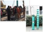 Corrison Resistant Vertical Submersible Centrifugal Pumps Cast Iron Material