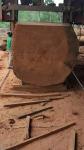 Automatic Large Bandsaw Mill MJ2500 Wood Cutting Sawmill Machine,MJ 2500 Tree