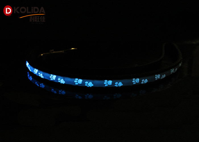 Pet Luminous Fast Slow Steady Flashing Glow In The Dark Dog Leash 2.5x120cm