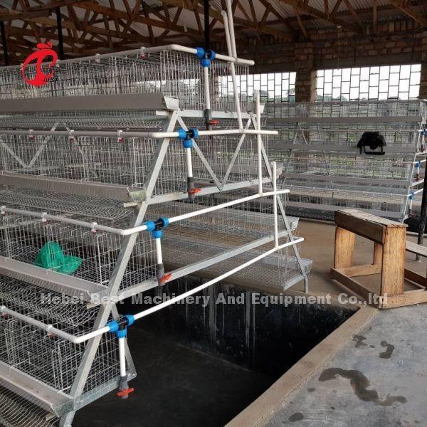Buy cheap Poultry Farming Cage System Galvanized Egg Layer Cage 40 doors In Africa Adela from wholesalers