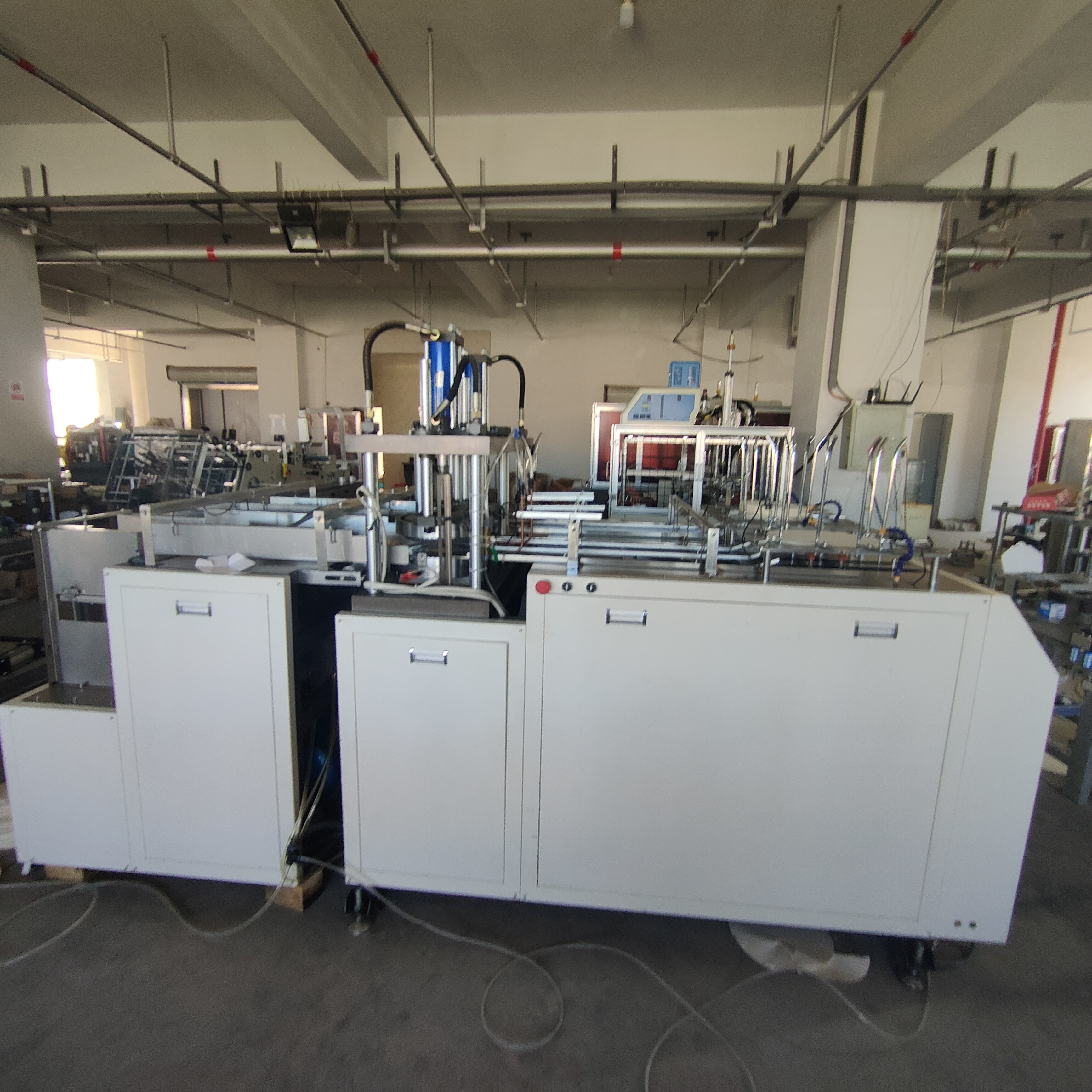 Disposable Lunch Box Carton Machine Hot Melt Adhesive Process