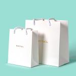 Cardboard Custom Reusable Packaging Shopping Bag with Your Own Logo and Gravure