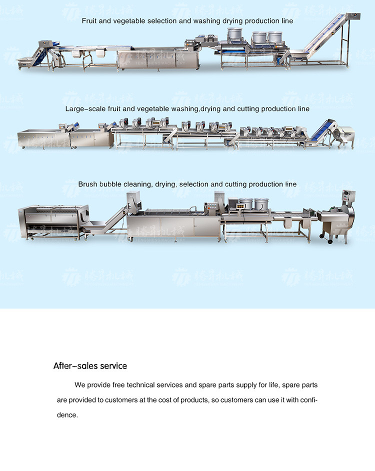 2.5KW Vegetable Fruit Sorting Machine Roller Barrel Grading equipment