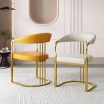Stainless Steel Flange Luxury Dining Chairs For Leisure Facilities