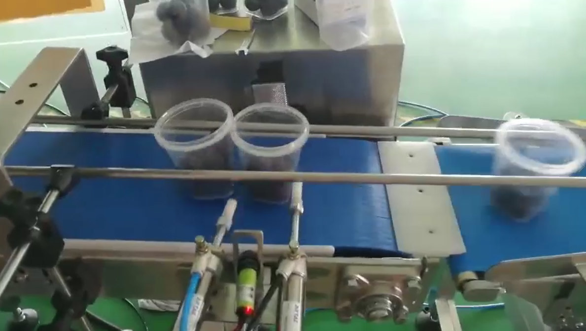SS316 Automatic Filling Machine Chocolate Ball Weighing And Reloading Cup Code Detection System