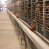 Buy cheap Hot Dipped Galvanized H Frame Automatic Battery Animal Cage/Chicken Layer Cage/Chicken Layer Battery Cage For Sale from wholesalers