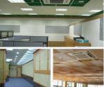 E0 Eco-Friendly Blackish Green Wood Wool Sound Acoustic Ceiling with Veneer
