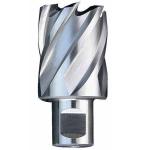 HSS drill cutter (HSS annular cutter)
