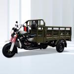 250cc Three Wheeler Heightening Carriage Motorized Tricycle for Adults Cargo