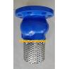 Buy cheap PN10 or PN16 cast iron flanged foot valve Supplier from wholesalers