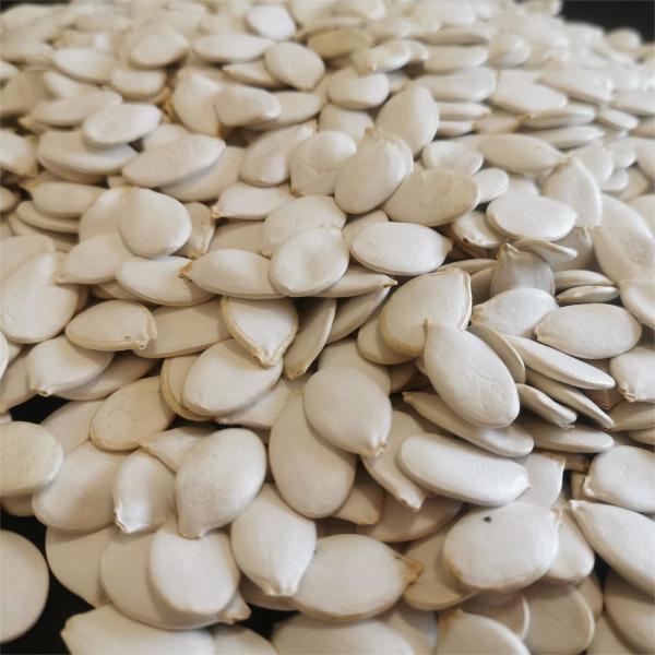 Buy cheap Top grade Snow White Pumpkin Seeds with Moisture 7%max from wholesalers