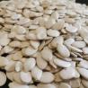 Buy cheap Top grade Snow White Pumpkin Seeds with Moisture 7%max from wholesalers
