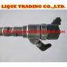 Buy cheap BOSCH Original and New Common rail injector 0445110101 , 0445110064 for HYUNDAI 33800-27000 from wholesalers