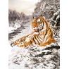 Buy cheap Home Decoration 3D Lenticular Pictures / Animal Print Lenticular from wholesalers