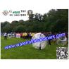 Buy cheap Professional Inflatable Human Bubble Football Ball for School from wholesalers