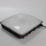 45W 60W Outdoor LED Canopy Light for Playground / Gym / Warehouse / Garage