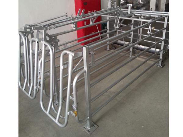 Buy cheap Power Coated Finishing Pig Gestation Crates With Stainless Steel Feeder from wholesalers