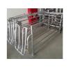 Buy cheap Power Coated Finishing Pig Gestation Crates With Stainless Steel Feeder from wholesalers