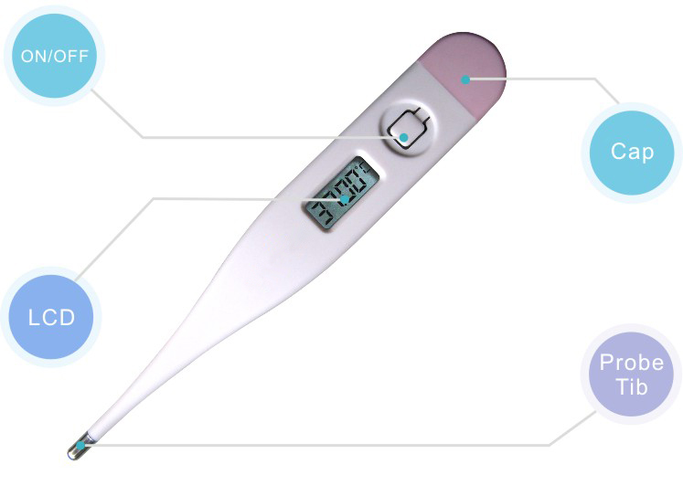 Flexible Basal Digital Thermometer Body Thermometer Digital Thermometer Prices