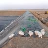 Buy cheap 0.5mm Geomembrane HDPE Dam Liner for Contemporary Fish Farm and Shrimp Pond Design from wholesalers