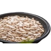 Buy cheap 0.2% Max Sunflower Nut Kernel for Products product